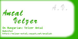 antal velzer business card